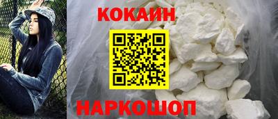 гашик Моздок