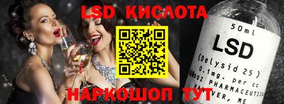 гашик Моздок