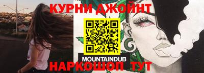 гашик Моздок