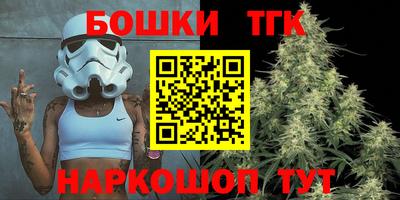 гашик Моздок