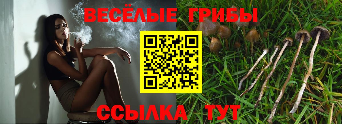 Галлюциногенные грибы мухоморы  как найти   Южно-Сахалинск  Псилоцибиновые грибы Psilocybine cubensis  Вход с VPN 
